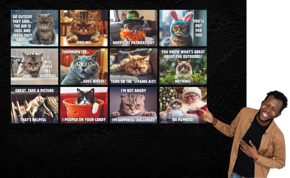 😾2025 Peed-Off Cats Calendar