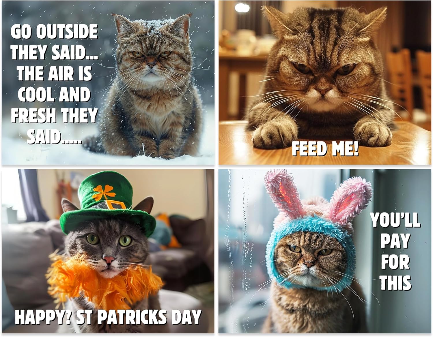 😾2025 Peed-Off Cats Calendar