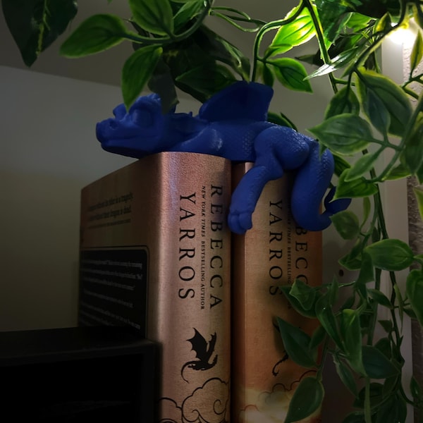 🐉💫Sleeping Dragon Bookshelf Decor