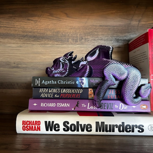 🐉💫Sleeping Dragon Bookshelf Decor