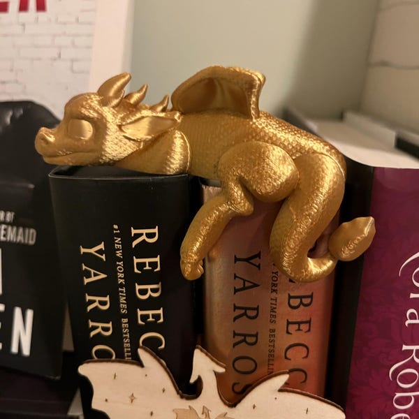 🐉💫Sleeping Dragon Bookshelf Decor