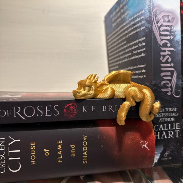 🐉💫Sleeping Dragon Bookshelf Decor