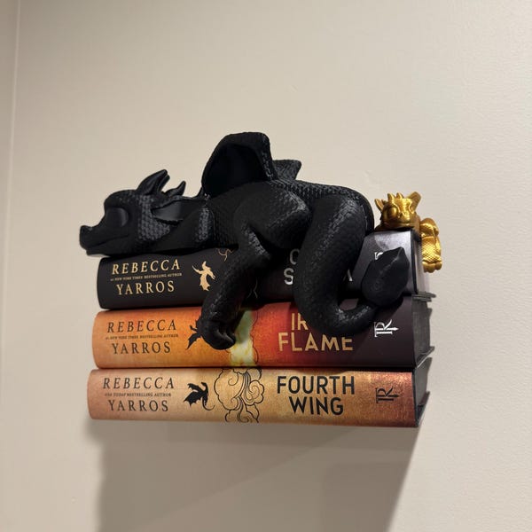 🐉💫Sleeping Dragon Bookshelf Decor