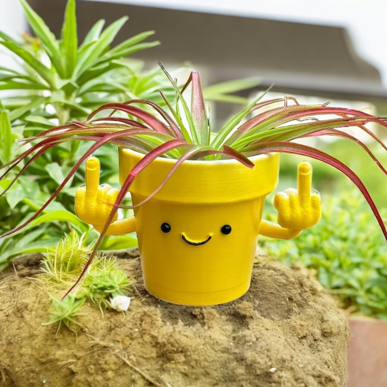 Funny & Unique Middle Finger Plant Pot