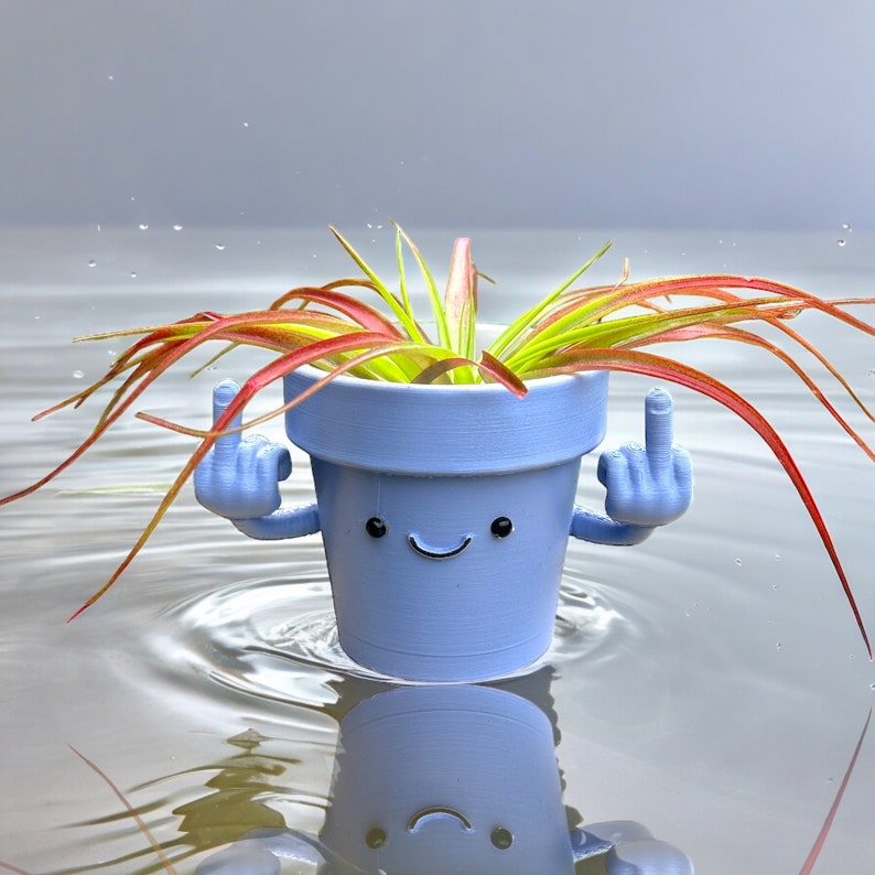 Funny & Unique Middle Finger Plant Pot