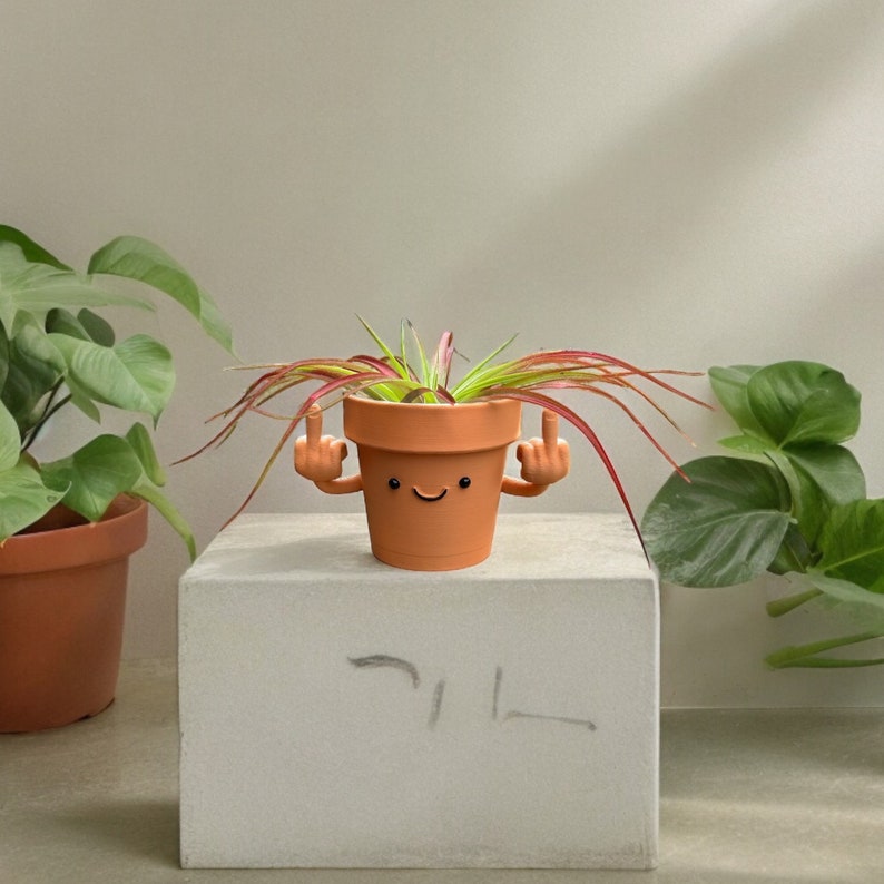 Funny & Unique Middle Finger Plant Pot