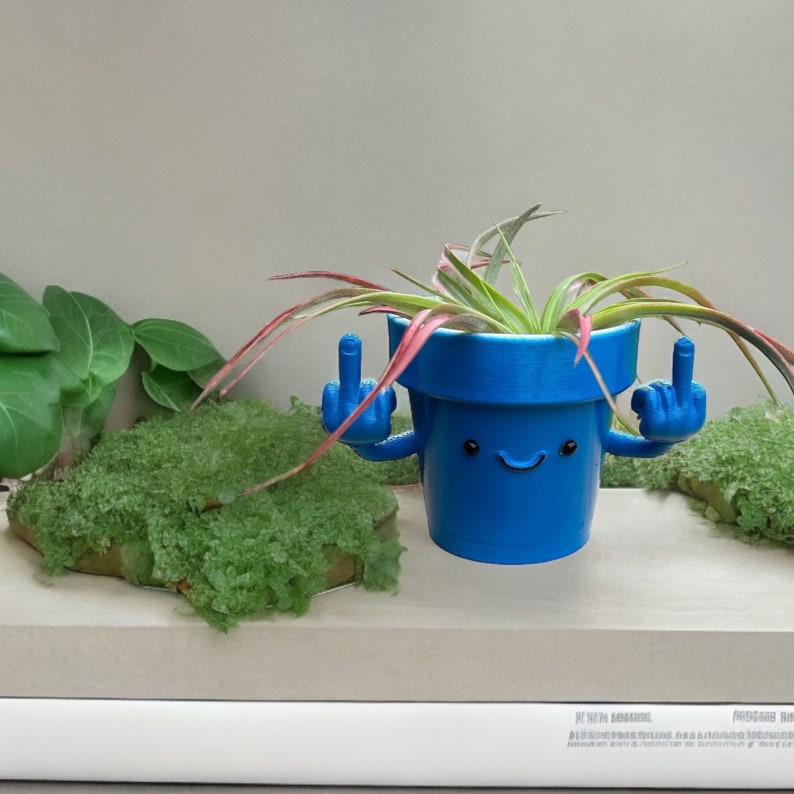 Funny & Unique Middle Finger Plant Pot
