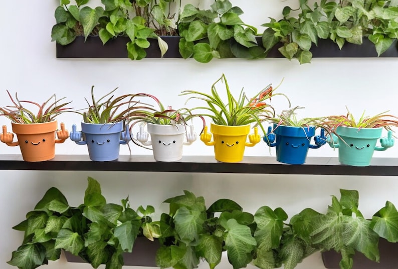 Funny & Unique Middle Finger Plant Pot