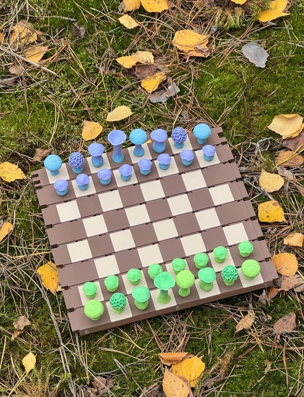🍄 Magnetic Forest Mushrooms Chess ♟️