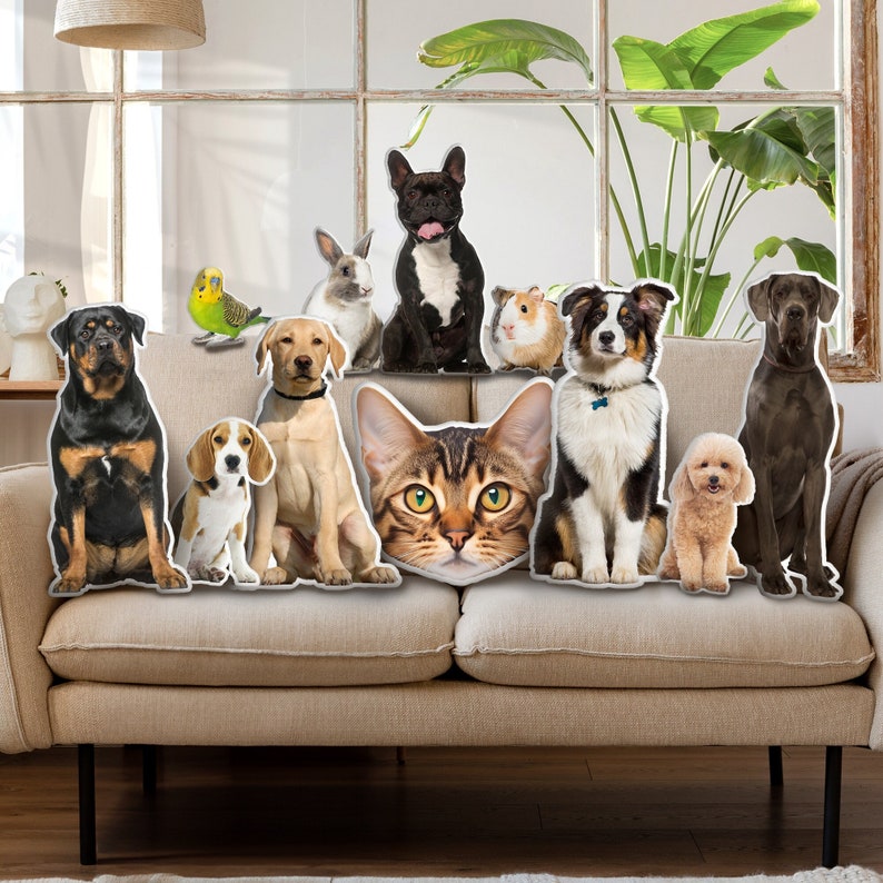 Custom 3D Pet Pillow