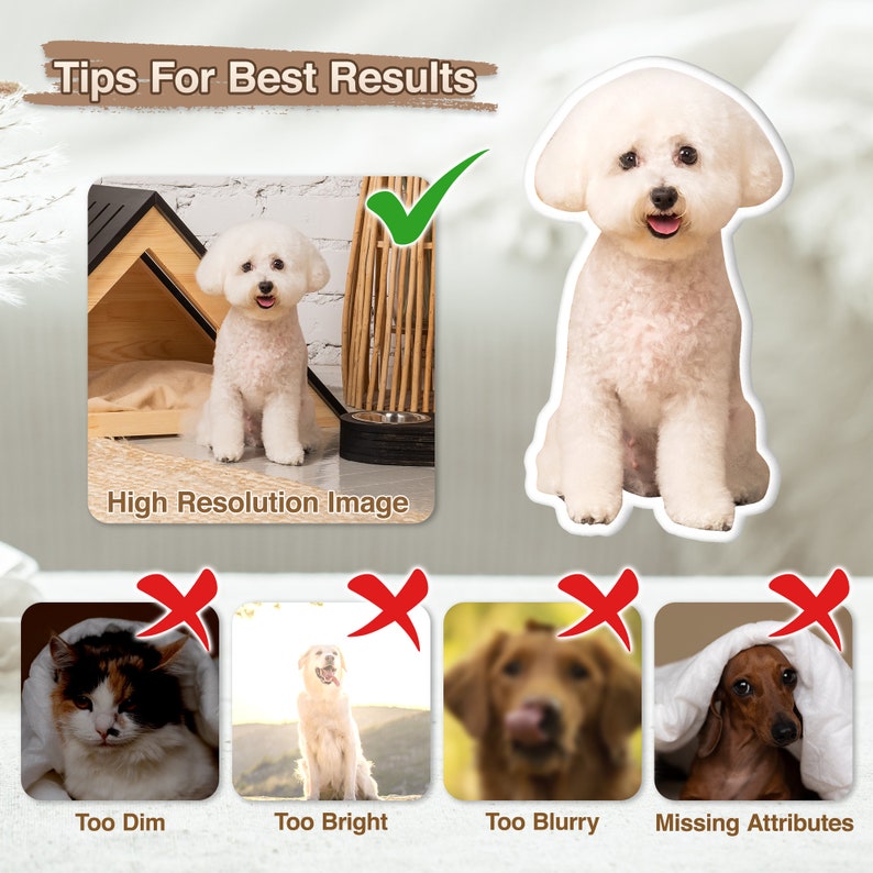 Custom 3D Pet Pillow