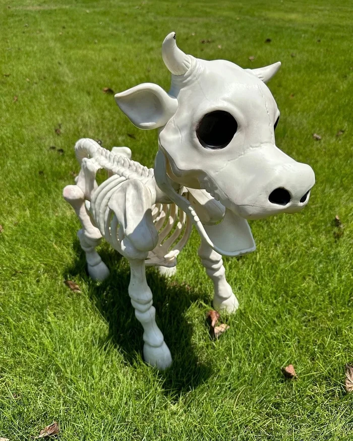 🐂🐎Cow & Horse Skeleton Halloween Decorative Prop🎃