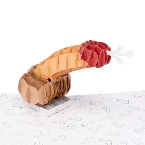 Your Package Has Arrived 💦 - 3D Inappropriate Greeting Card