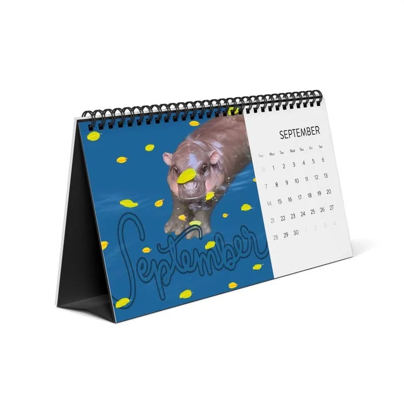 🦛Moo Deng Calendar | 2025 Desktop Calendar