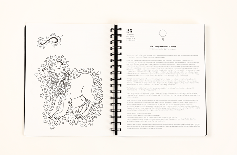 📚2025 Many Moons Lunar Planner