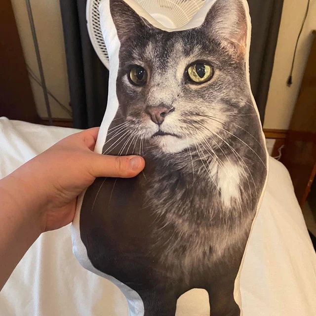Custom 3D Pet Pillow
