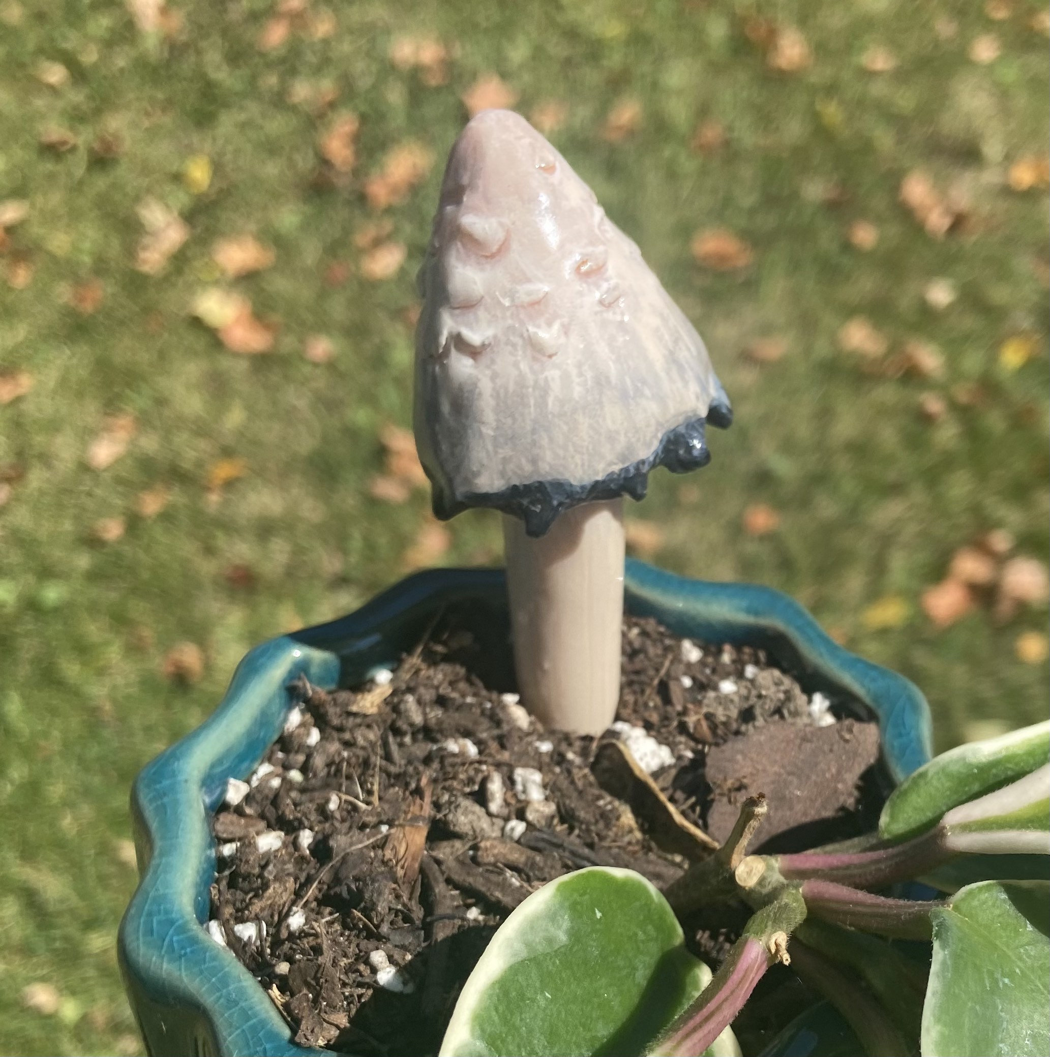 Mushroom plant buddies stake-houseplant lover