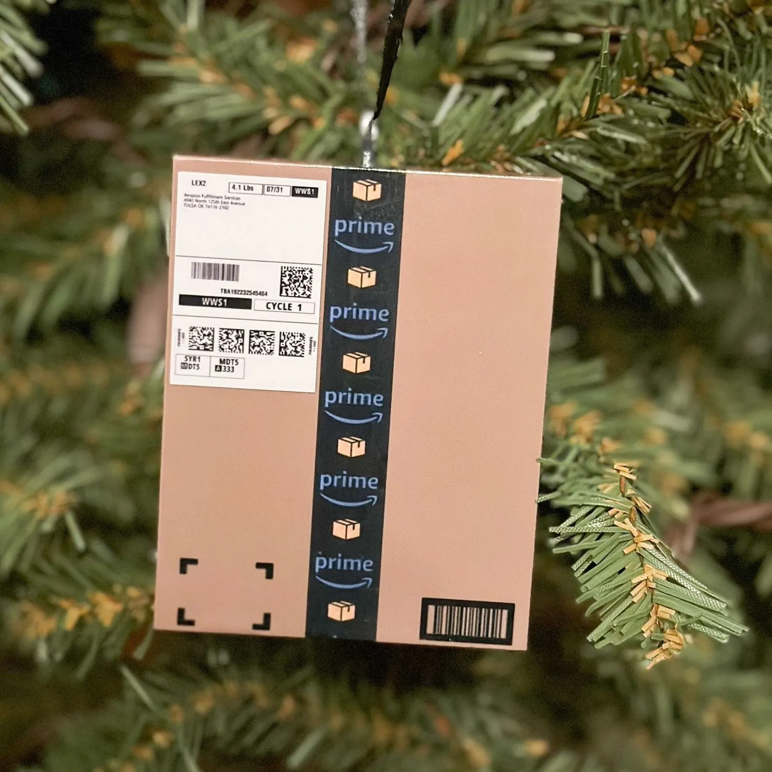 🎁Funny Christmas Gift Ornament
