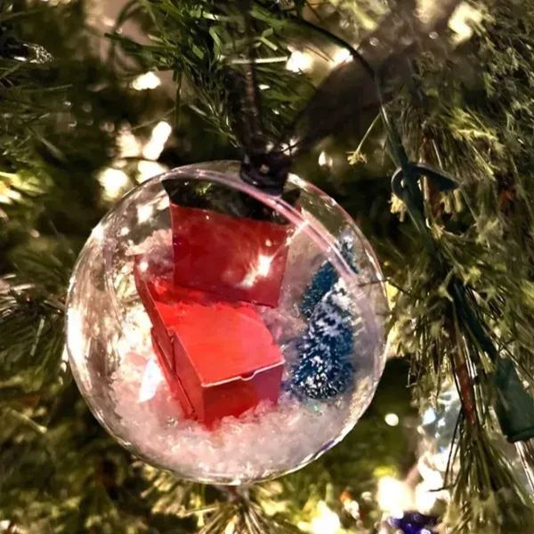 🎁Funny Christmas Gift Ornament