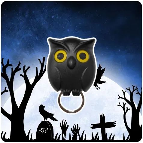 🦉Cute Owl Key Holder