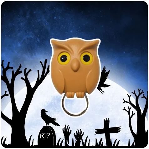 🦉Cute Owl Key Holder