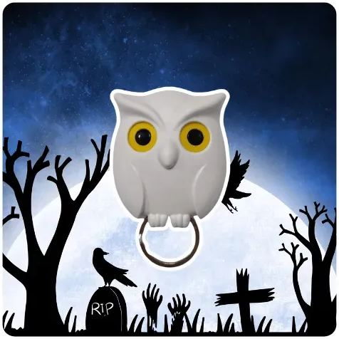 🦉Cute Owl Key Holder