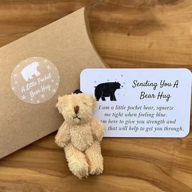 A Little Pocket Bear Hug