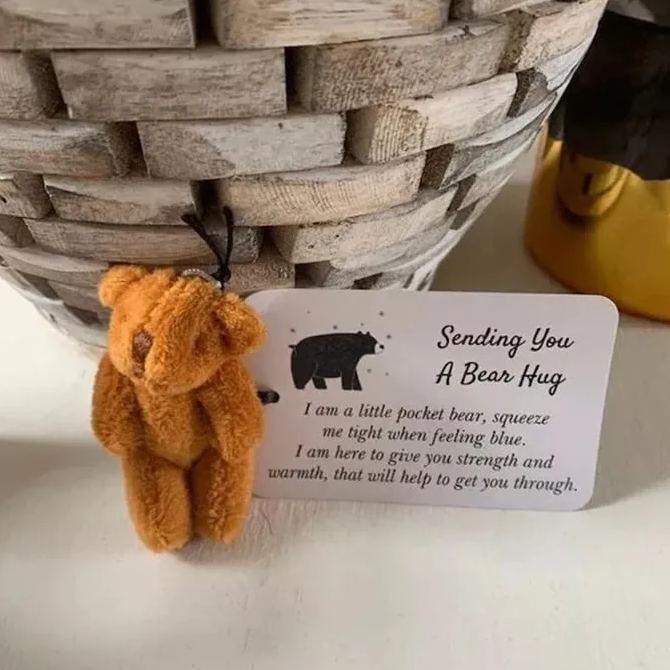 A Little Pocket Bear Hug