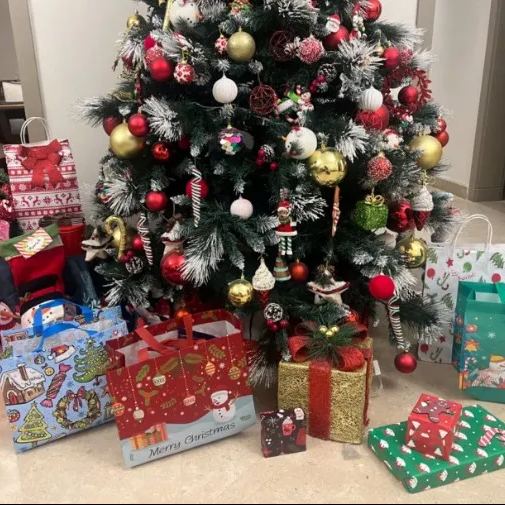 🎄Christmas Gift Bag🎁