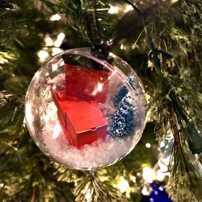 🤣Funny Christmas Gift Ornament🎁