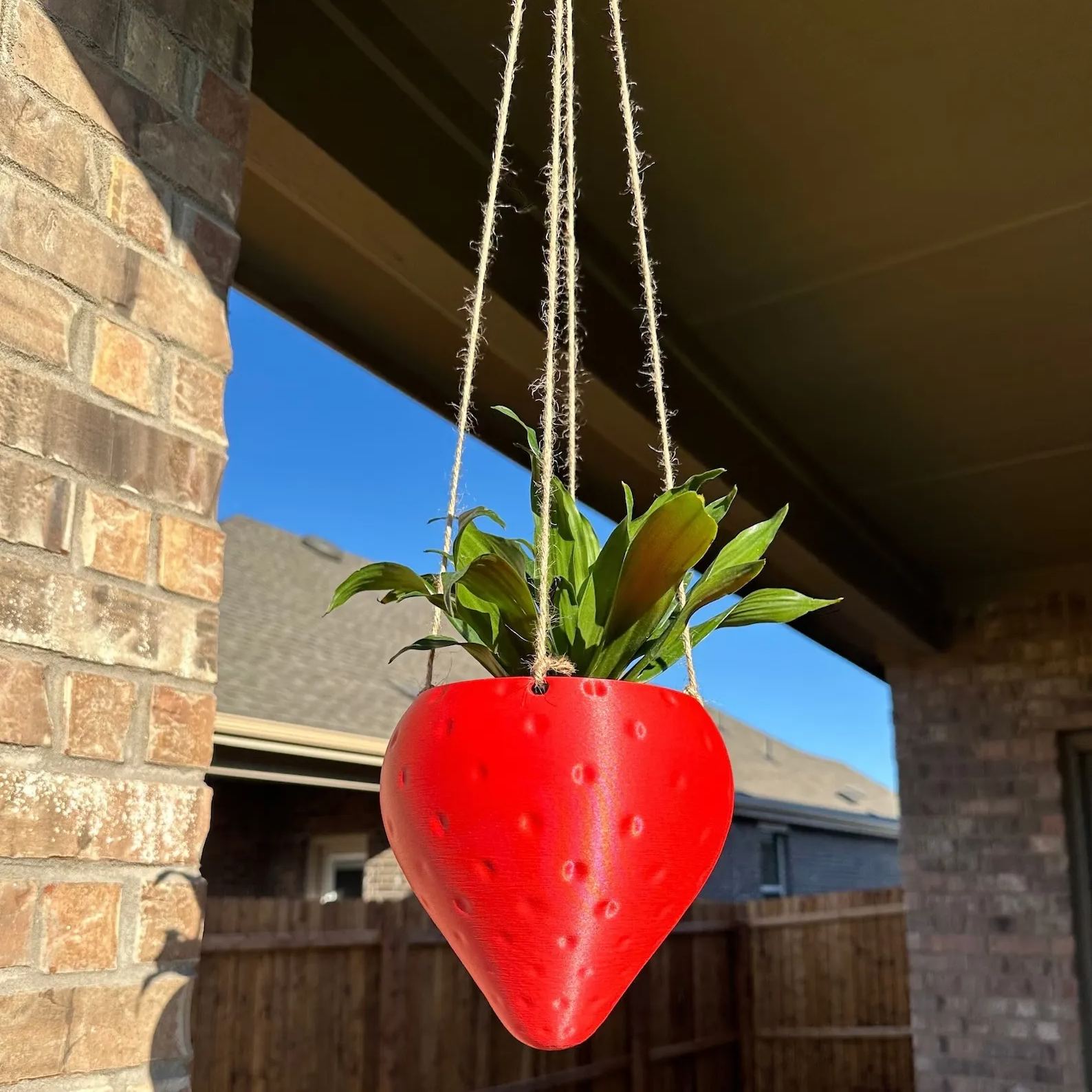 Outdoor Hanging Planter Pot for Strawberry Garden