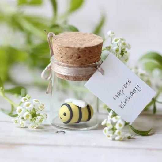 🎄Christmas Promotion🎄 Cute Homophonic Christmas Gift For Friends/Families/Neighbors