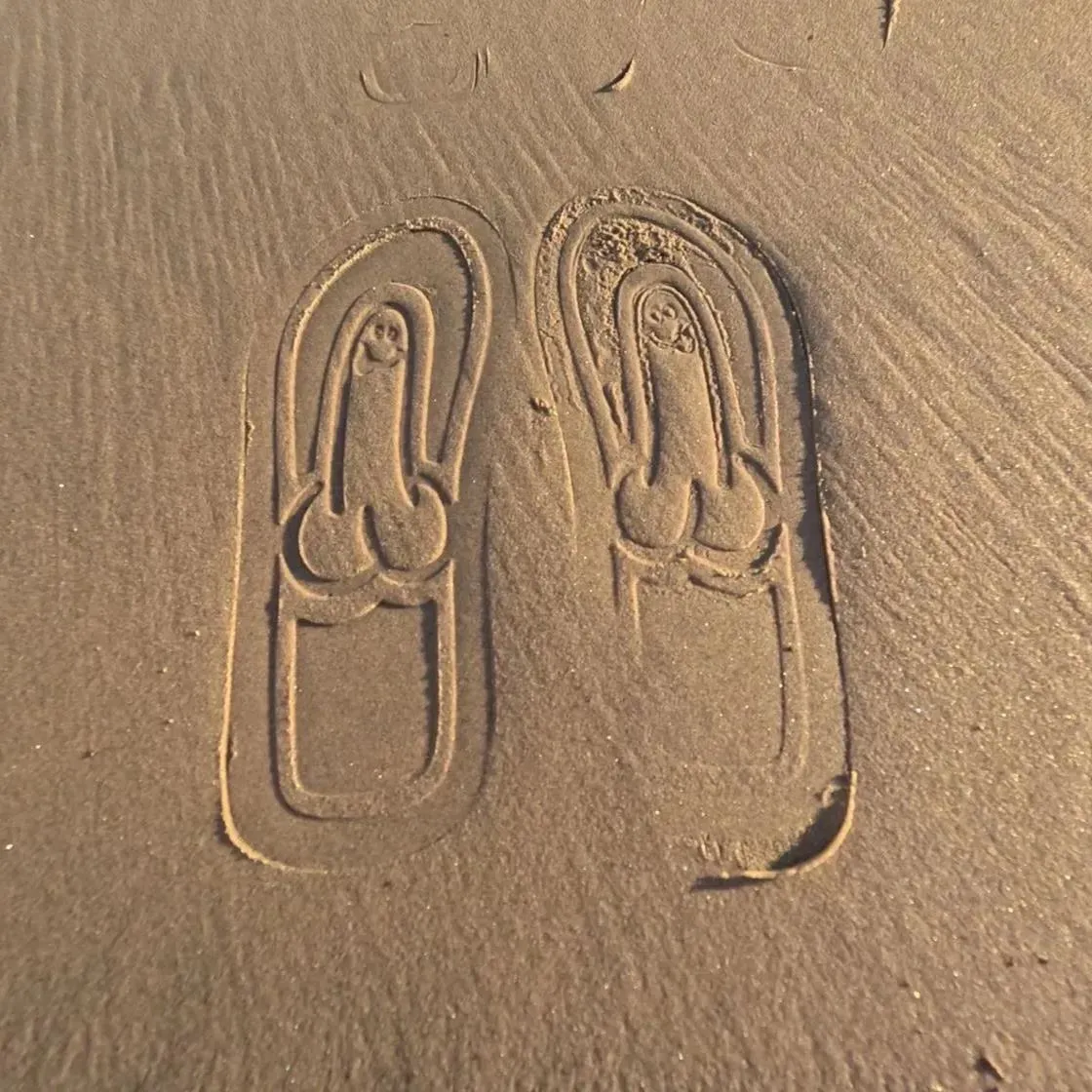🔥Summer Hot Sale -50% OFF-Hidden Penis Flops