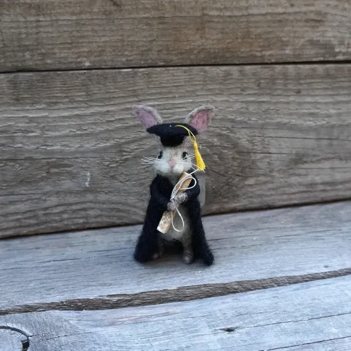 🐰College Cute Gift-Graduation Bunny