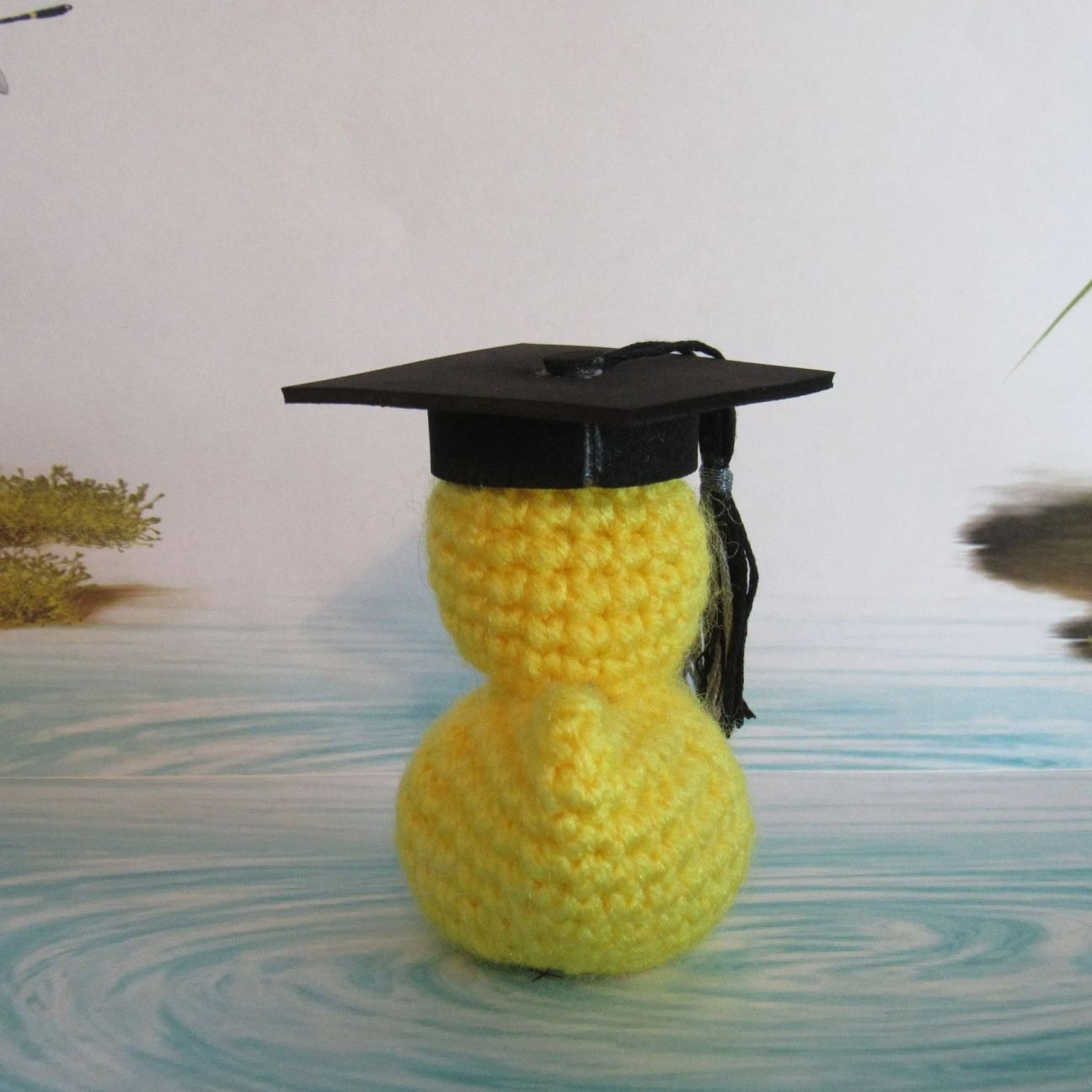 🎓Graduation Duck