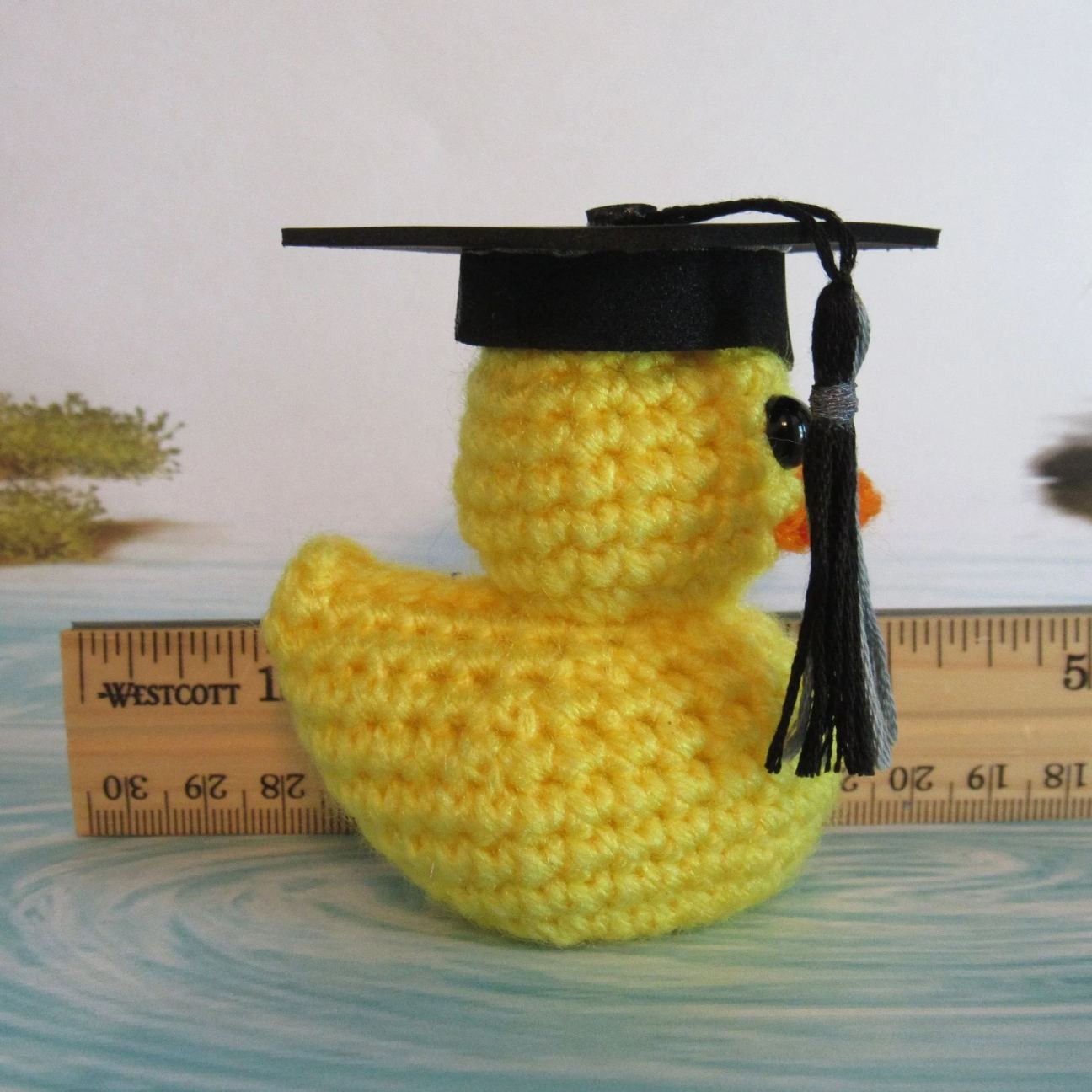 🎓Graduation Duck