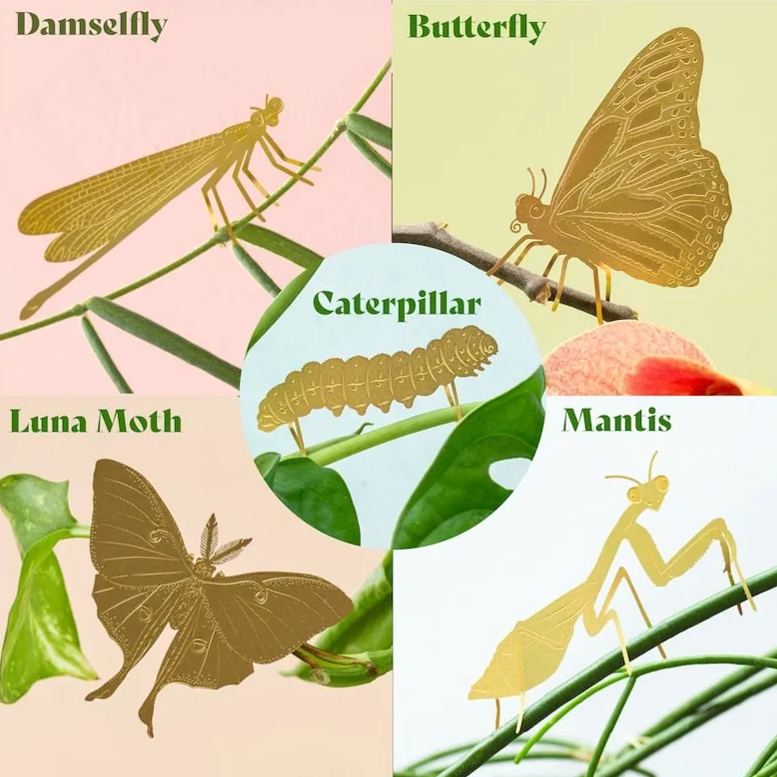 🌿🐾Plant Animal Decorations