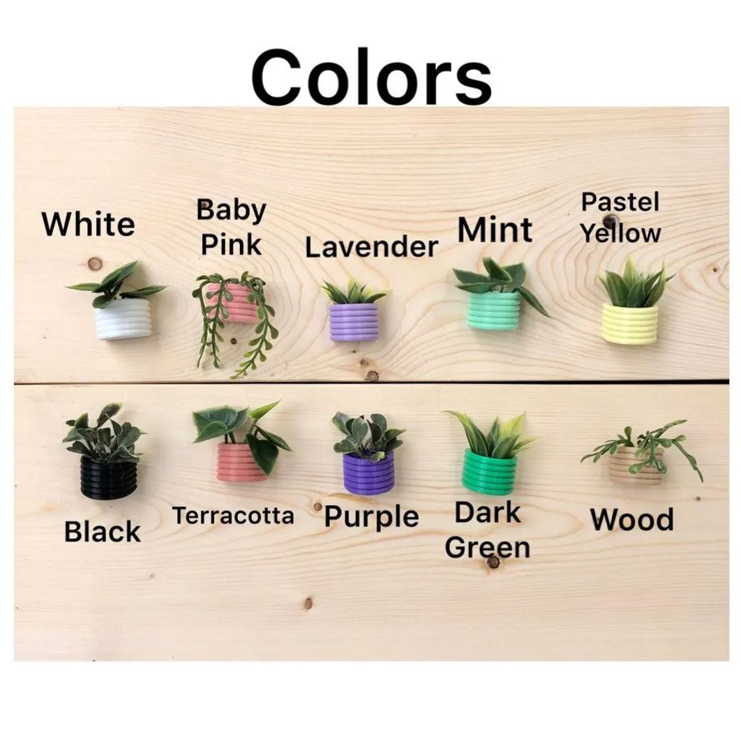 🌾Mini Succulent Fridge Magnet 