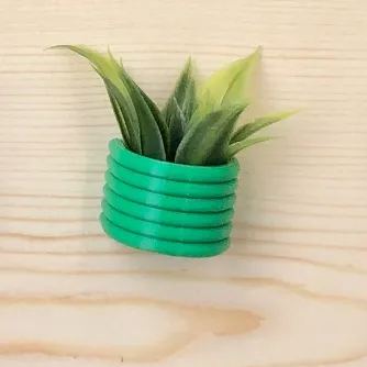 🌾Mini Succulent Fridge Magnet 