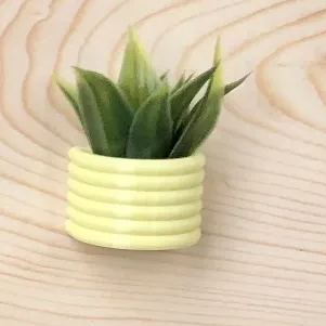 🌾Mini Succulent Fridge Magnet 