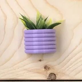 🌾Mini Succulent Fridge Magnet 