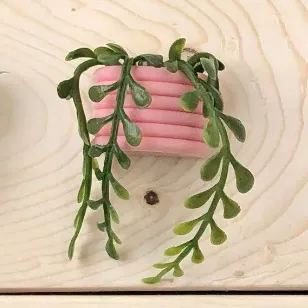 🌾Mini Succulent Fridge Magnet 