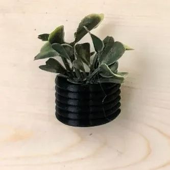 🌾Mini Succulent Fridge Magnet 