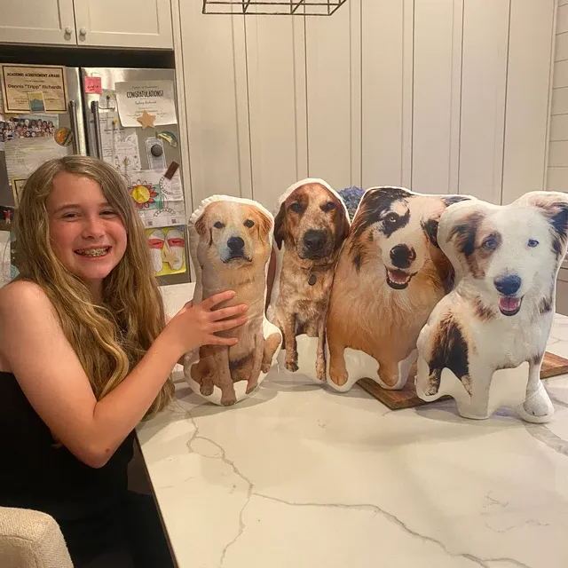 Custom 3D Pet Pillow