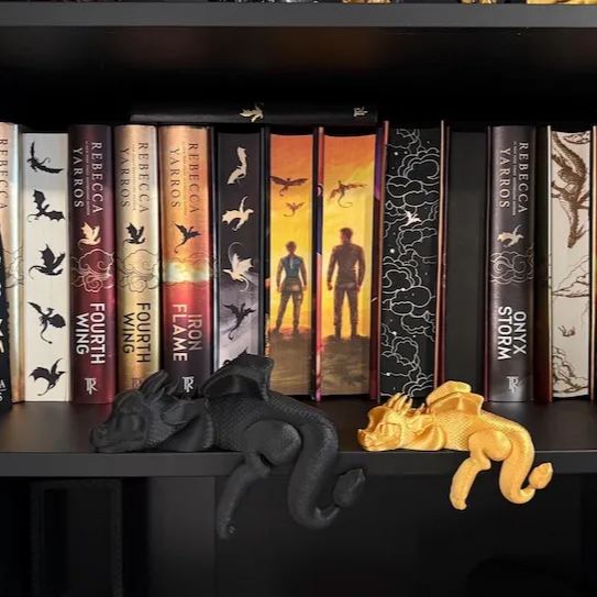 Sleeping Dragon Bookshelf Decor