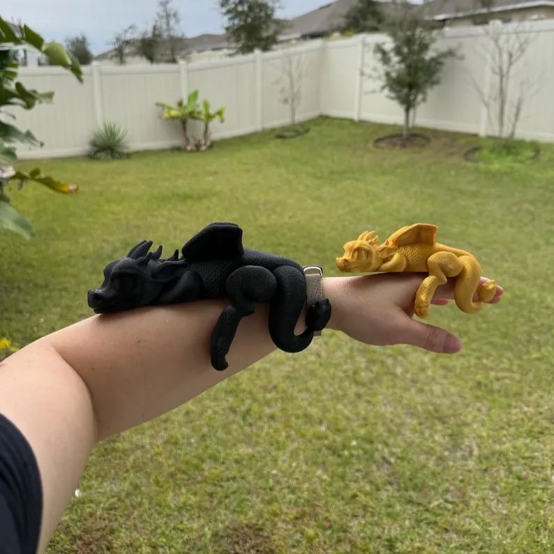Sleeping Dragon Bookshelf Decor