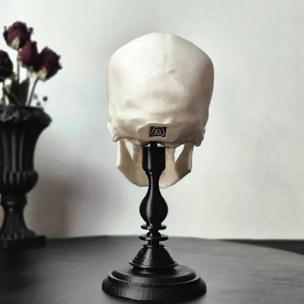 💀Gothic Baroque Victorian Filigree Skull🎁Buy 2 Free Shipping