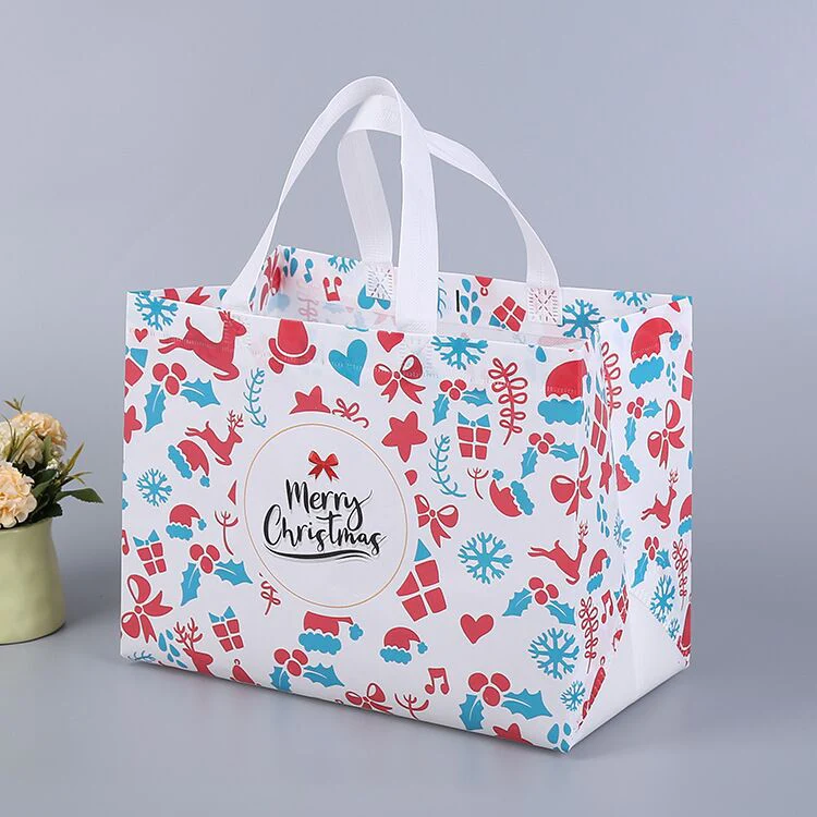 🎄Christmas Gift Bag🎁