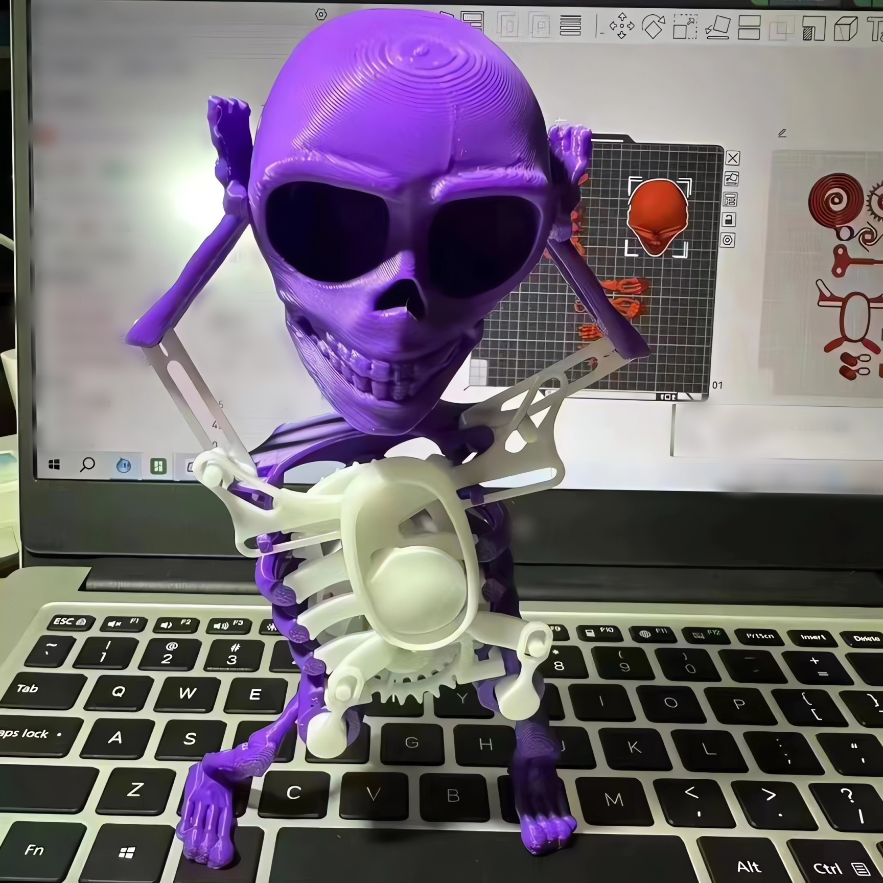 Dancing and Swinging 3D Skull Toy🎉