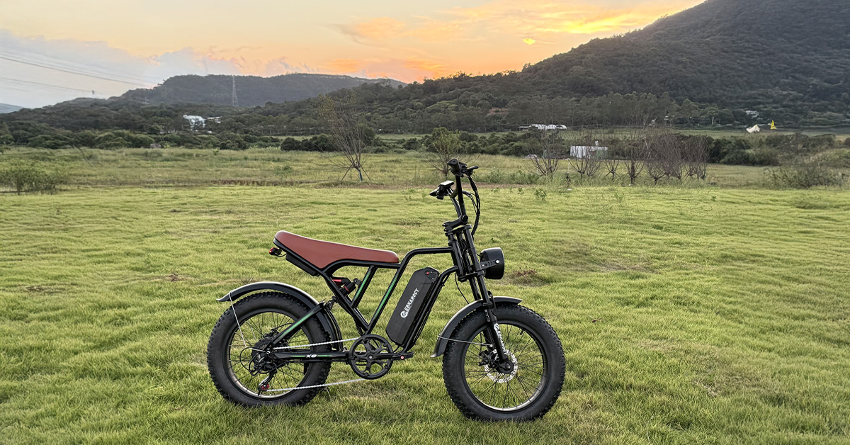 Electric Dirt Bike